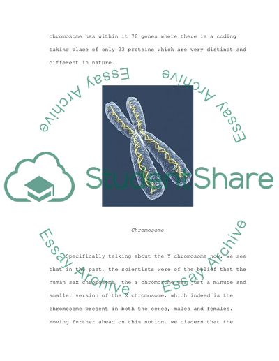 The Evolution of the Human Y Chromsome