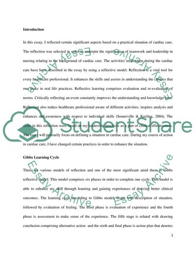 Clinical Leadership and Gibbs Learning Cycle