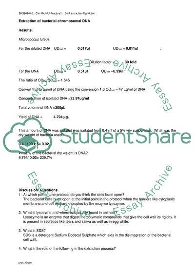 Extraction of Bacterial Chromosomal DNA