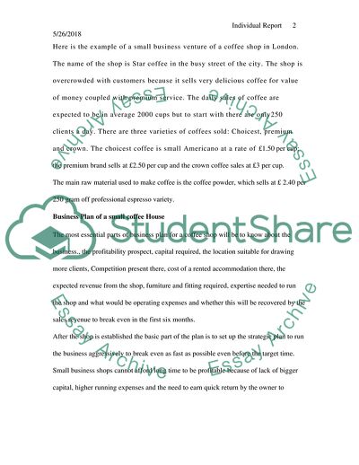 Individual report business Plan