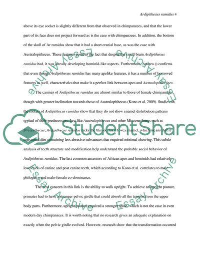 The Discovery of Ardipithecus Ramidus