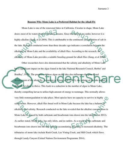 Ephydra Hians in the Mono Basin