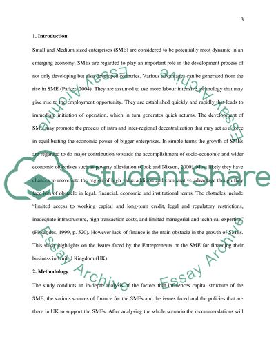 Entrepreneurs as Business Leaders