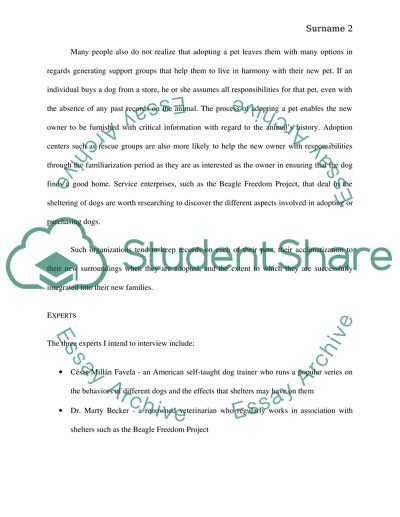 Why You Should Adopt dogs and not buy them