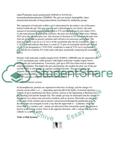 Electrophoresis: The Main Technique for Molecular Separation