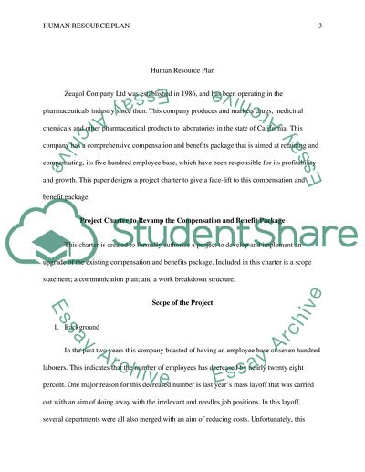 Human Resource Plan in Zeagol Company Ltd