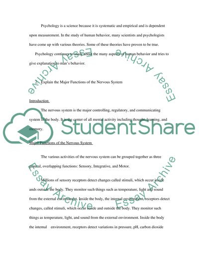 The Basic Structure of the Brain and the Functions