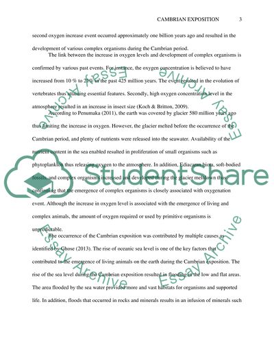 Cambrian Explosion Theory Explanation