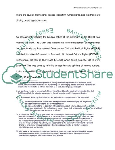 human rights case study examples