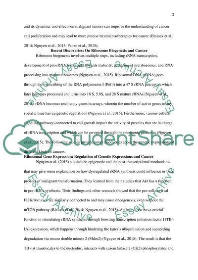 New Discoveries Regarding Links between Ribosome Biogenesis and Cancer