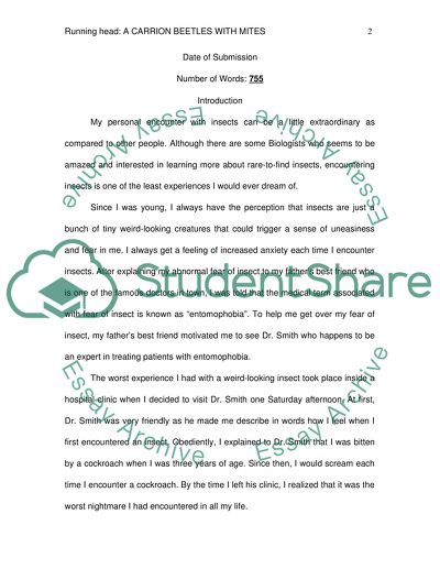 Encounter with insects