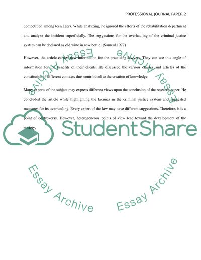 Professional Journal Paper