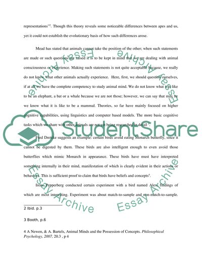 Are Humans the Only Animals with Theory of Mind