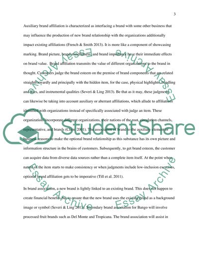 Hybrid Brand Strategy Report