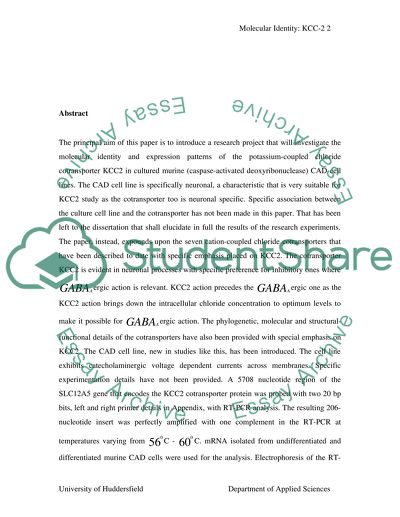 Molecular Identity of Co-transporter KCC in Differentiated and Undifferentiated Mouse Neuronal Cell Line CAD