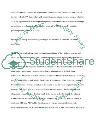 Oxidative Phosphorylation and the Electron Transport Chain