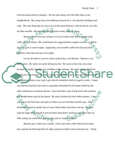 English Mastiffs Appearance