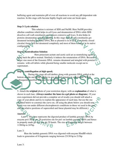 BIOTECHNOLOGY & GENETIC ANALYSIS PRACTICAL ASSESSMENT