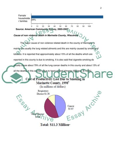 Community assessment of Marinette, Wisconsin