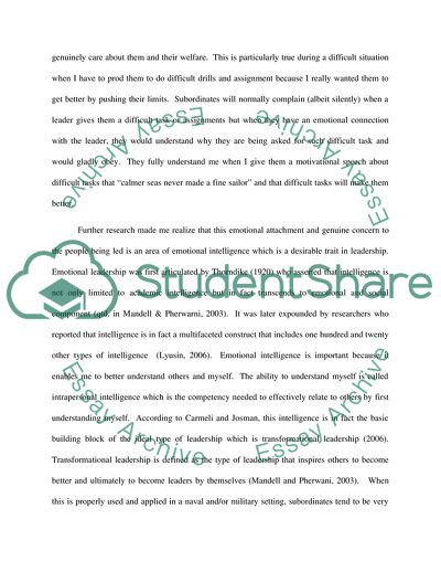 My Own Leadership Style