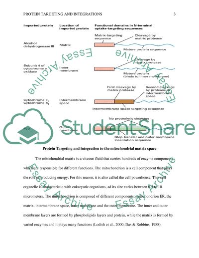 Protein Targeting and Integrations