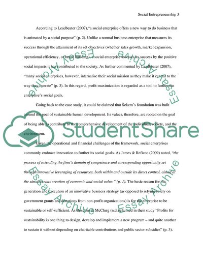 Social Entreprenurism Case Study 2