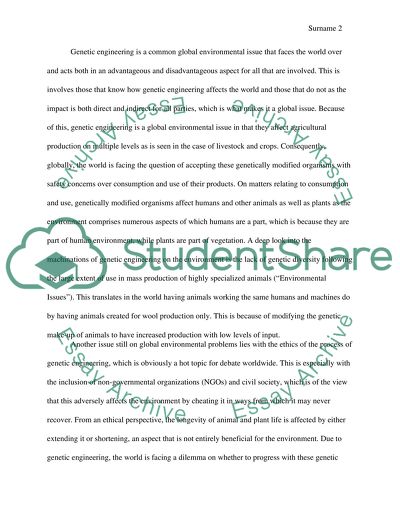 The Role of the International Community