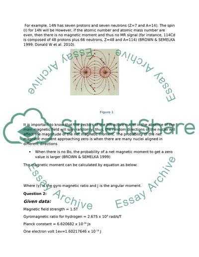 The Vectors of the Magnetic Moment