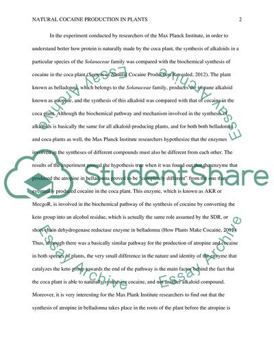 Natural Cocaine Production in Plants