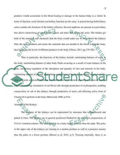 Human Physiology and Anatomy: Functions of the Kidney