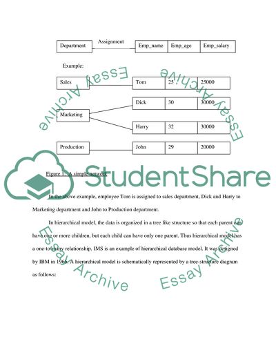 database administration essay