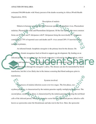 The Cause and Symptoms of Malaria