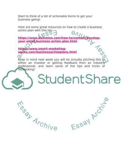 THE FINAL BUSINESS IDEA PLAN