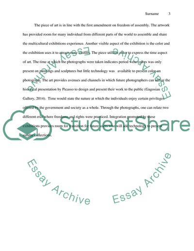 Picasso and the Camera Exhibition