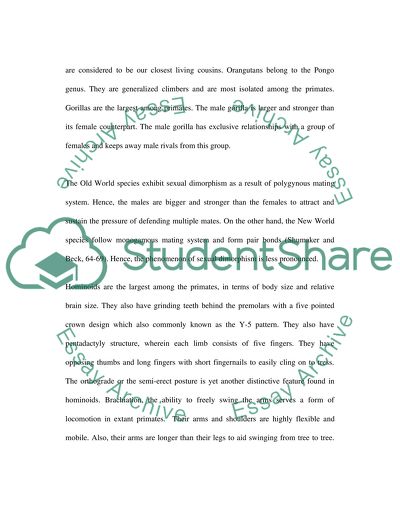 The Primates of Hominidae Family