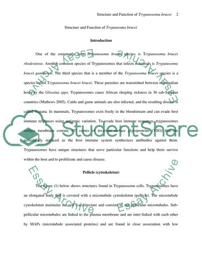 Structure and Function of Trypanosoma Brucei