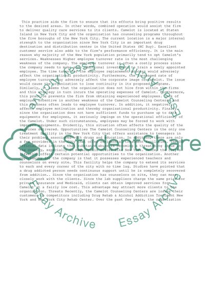 SWOT Analysis Research Paper