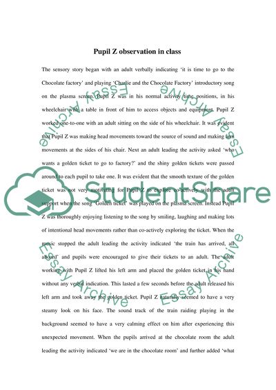 Delivering Learning Environment for Visual and Physical Impair Child