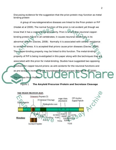 Evidence for the Suggestion that the Prion Protein May Function as Metal Binding Protein