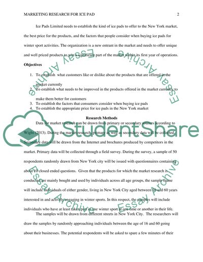 Marketing Research for Ice Pad