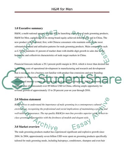 Marketing Objectives and Strategy for a New Product Idea of H&M