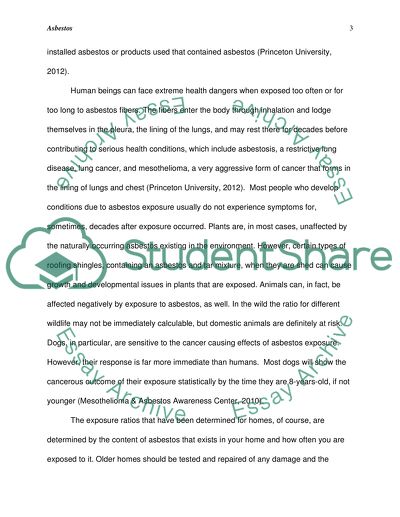 Occupational Risk Research Paper