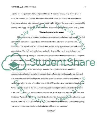 Workplace Motivation Paper