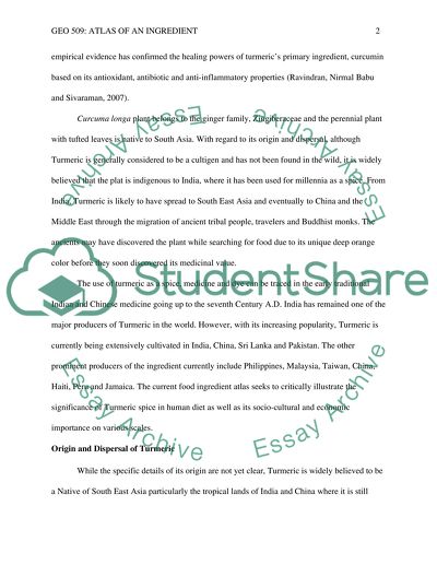 The Use of Turmeric as a Spice