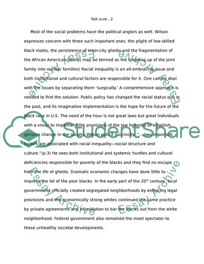 More Than Just Race by Wilson