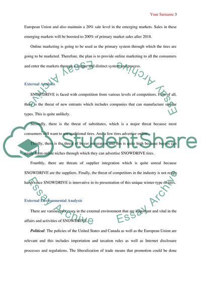 Digital Marketing Campaign for SNOWDRIVE