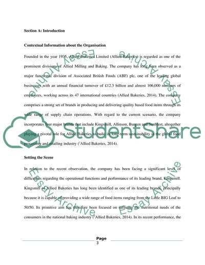 Strategic Measures and Practices in the Sales and Marketing Area at Great White