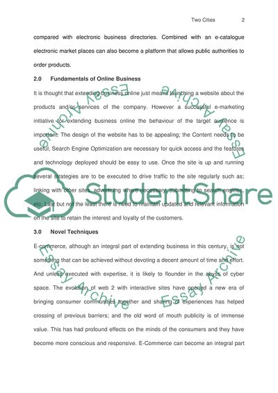 E-Marketing Strategy-Business Issues