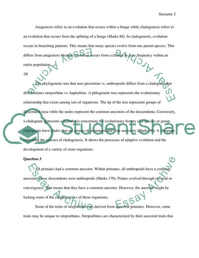 Biological Anthropology