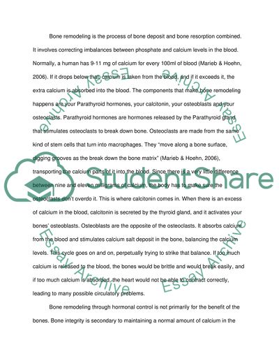 Bone Remodeling through Hormonal Control